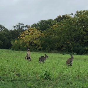 Meet your Posher, Kristine